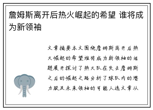 詹姆斯离开后热火崛起的希望 谁将成为新领袖