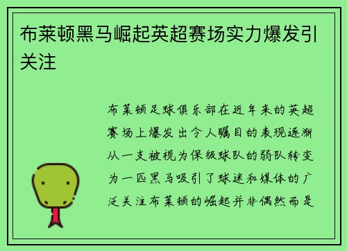 布莱顿黑马崛起英超赛场实力爆发引关注